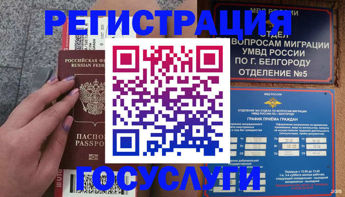 временная регистрация поиск в Белгороде